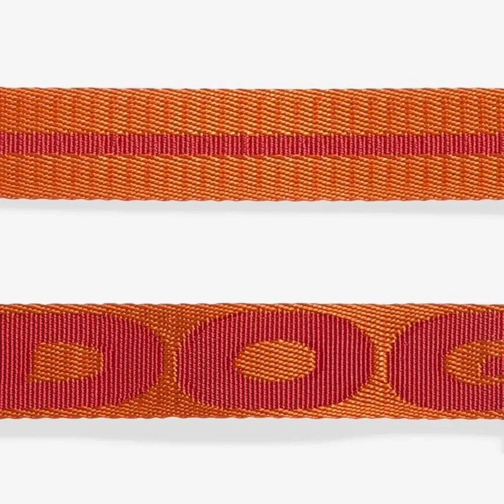 NEW GIBSON Orange Red Blue Large Dog Adjustable $85 Collar Leash 4 Ft Gift Set